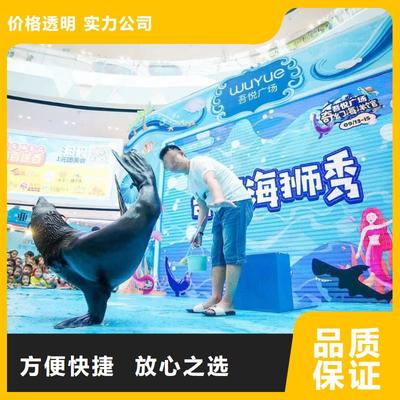 南安市分公司 專業出租表演鸚鵡，打造難忘動物展覽體驗